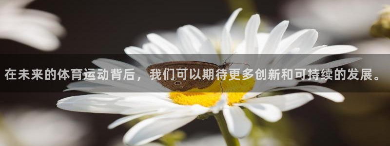 逐梦国际体育老板是谁