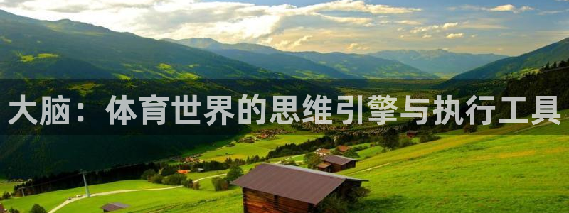 www.意昂体育.com
