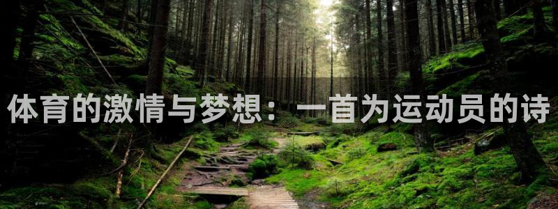 逐梦国际4平台注册
