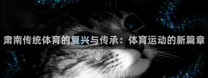 逐梦国际2体育