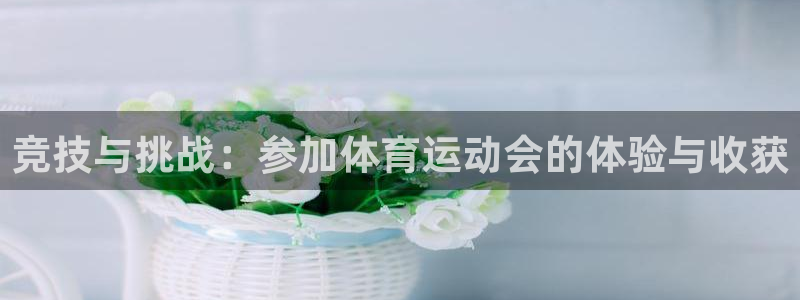 逐梦国际体育平台登录入口