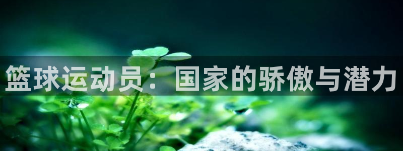 逐梦国际2注册