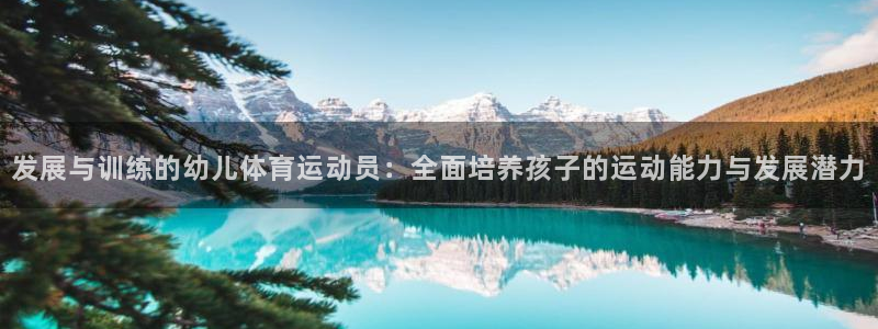 逐梦国际2登录入口