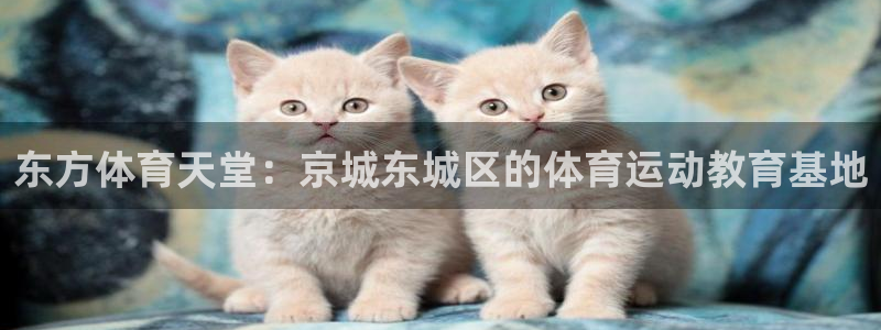 逐梦国际4登录